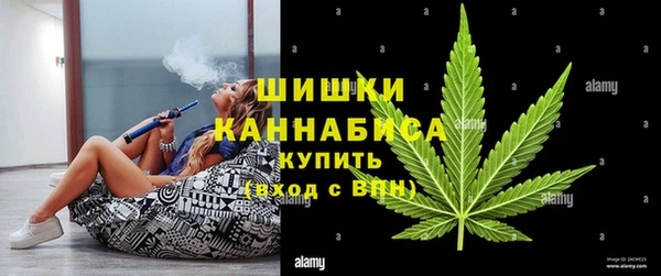 бутират Белокуриха