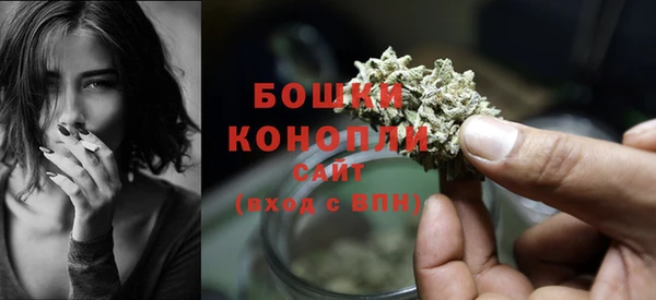бутират Белокуриха