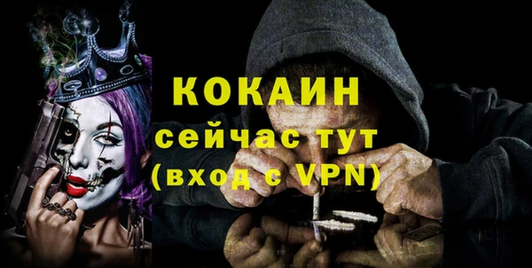 сатива Белоозёрский