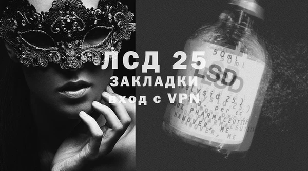 PSILOCYBIN Беломорск