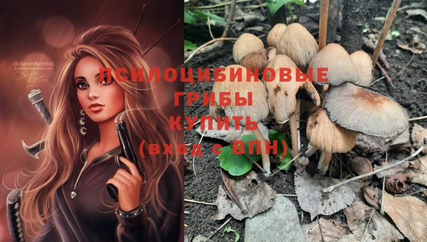 PSILOCYBIN Беломорск
