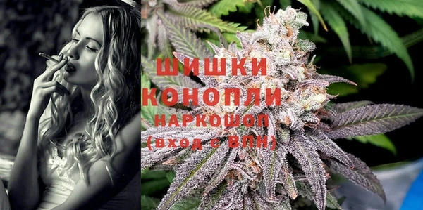 сатива Белоозёрский