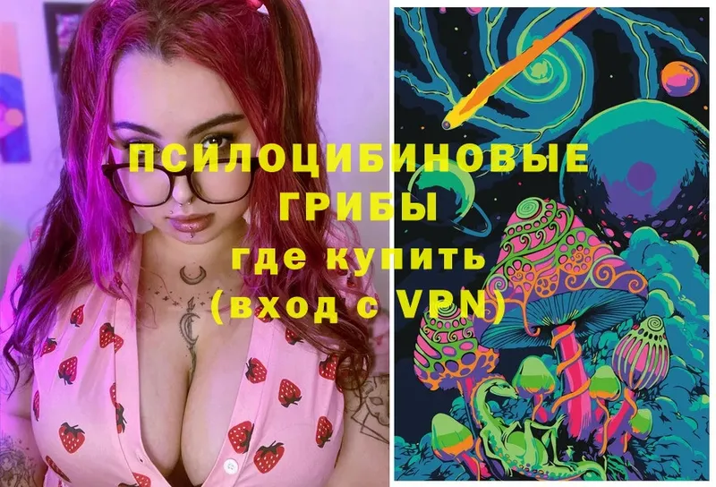 Псилоцибиновые грибы мицелий  Горячий Ключ 