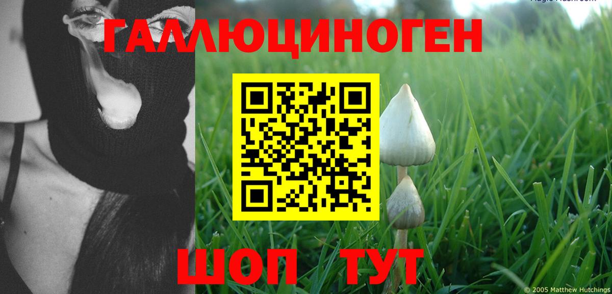 МЕФ Горячий Ключ