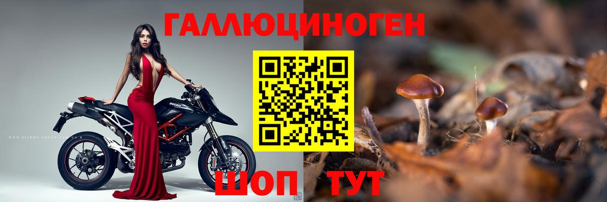 дарнет шоп  Псилоцибиновые грибы ЛСД  Вход с VPN  Горячий Ключ 